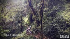 紀錄片萬物滋養: 進山